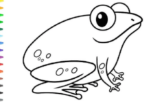 Cute:7ziqkivryto= Drawing Frog