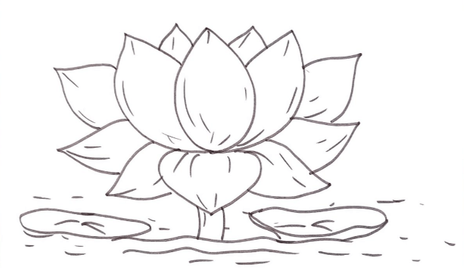 Outline:0_0dcgop-Ly= Lotus