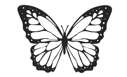 Outline:4l2kwktgk5y= Butterfly Stencil