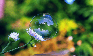 Clipart:8m0a5tylgc8= Bubble