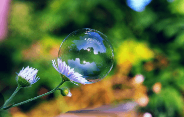 Clipart:8m0a5tylgc8= Bubble