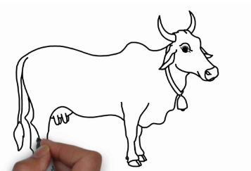 Clipart:_N6r7x-Sehk= Drawing:Eebjgess2bu= Cow