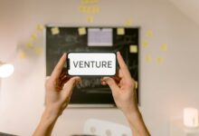 innovative ventures drive success