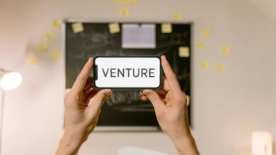 innovative ventures drive success