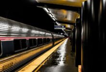 professional web platform boosts efficiency